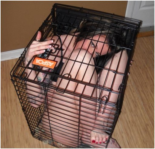 woman crammed into a dog cage that is way too small for her