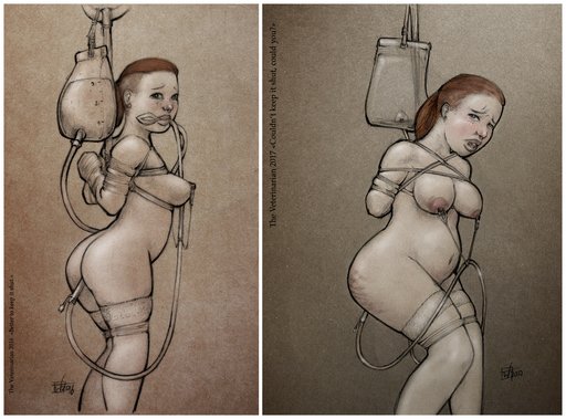 pair of enema bondage artworks