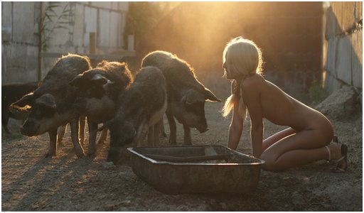 pretty blonde on her knees eating with the other farm animals